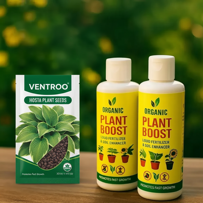 Ventroo®  - Premium Hosta Flower Seeds + Plant Booster FREE