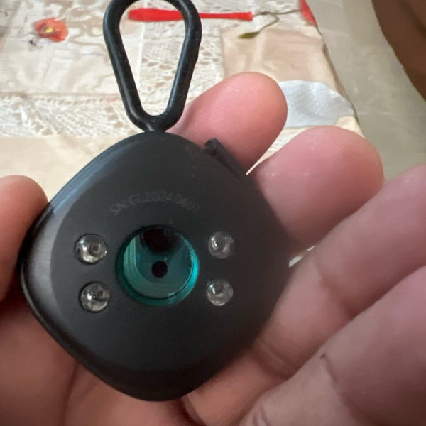 Sunita Mehta, Gurgaon